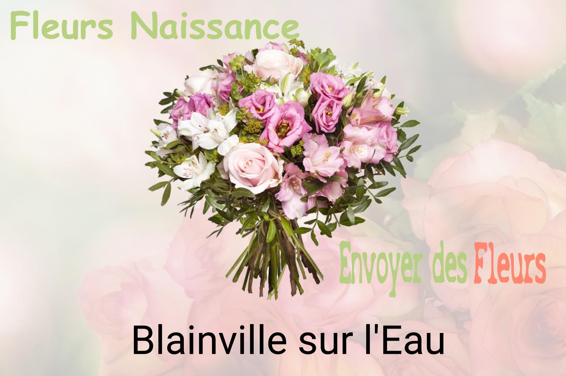 Bouquet de fleurs de naissance livré à Blainville-sur-l'Eau